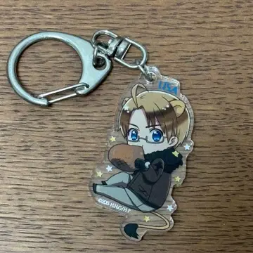 헤타리아 미국 별자리 아크릴 키링