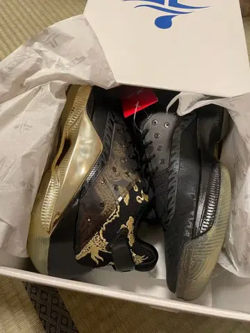 제레미 린 블랙/골드 (EUR 44)