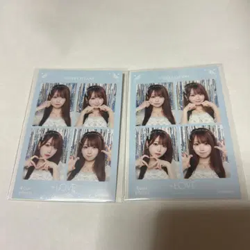 =LOVE 오타니 에미리 4컷