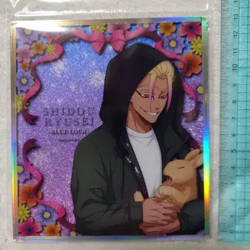 AGF2025 마즐 블루 록 토끼 아크릴 라메 아트 시도 류세이