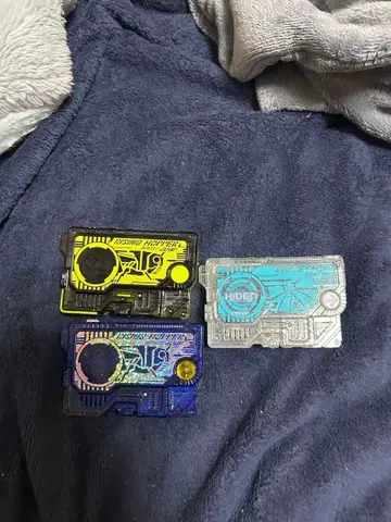 메모리얼 프로그라이즈 키 Side 히덴 인텔리전스