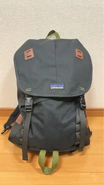 Patagonia 백팩