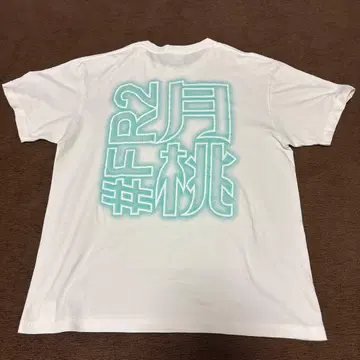 FR2 오키나와 한정판 월도 티셔츠 M 사이즈