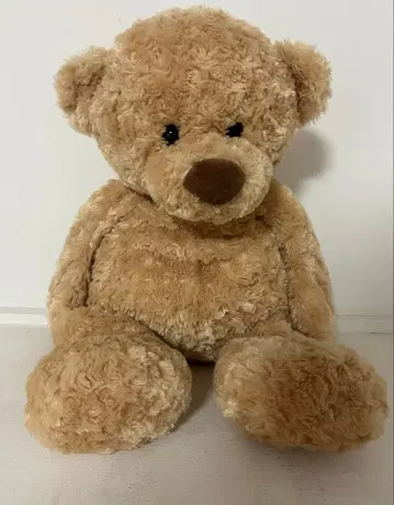HUGFUN 하그펀 코스트코 곰 봉제 인형 베이지