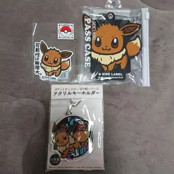 새상품 이브이 아크릴 키링&패스 케이스 세트