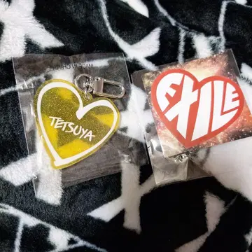 EXILE TETSUYA 네임 키링 스티커 세트