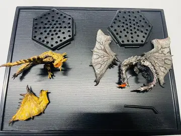 몬스터 헌터 분노 ver. 리오레우스 리오레이아 희귀종