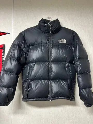 THE NORTH FACE 눕시 한국