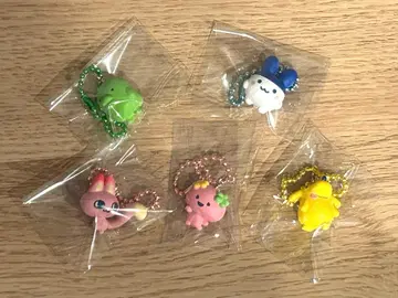 초코 박스 미미칫 쿠치팟치 후라왓치 먀오칫 포치칫