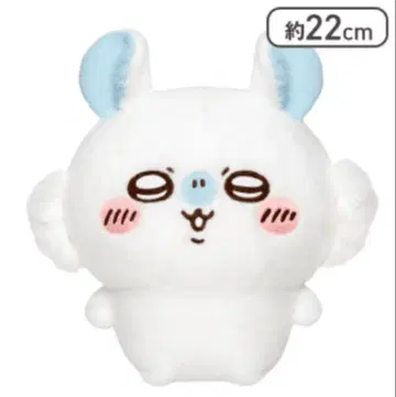 치이카와 (먼작귀) 시이푸와 봉제 인형 모몽가