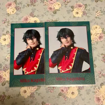 앙스테 폴라로이드풍 카드 카게히라 미카