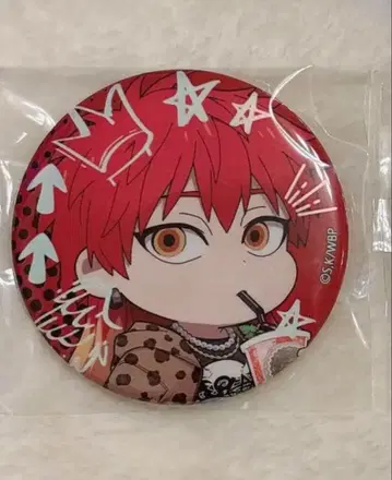 WIND BREAKER 윈브레 파보테리아 타키이시 야 캔뱃지