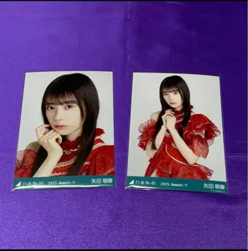 야타 모에카 13th BD 라이브 의상 2 브로마이드 (상반신)