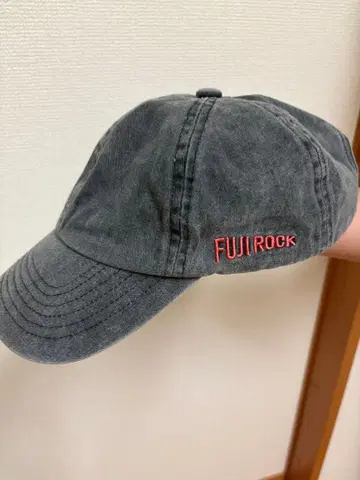 FUJI ROCK 후지록 2024 그레이 캡