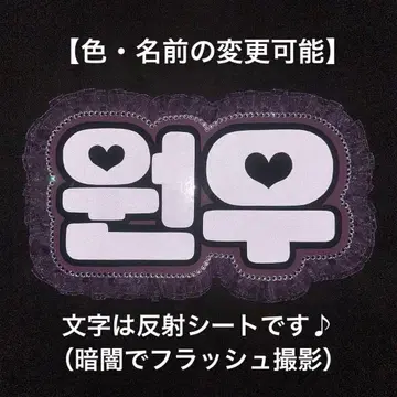 네임보드 SEVENTEEN 세븐틴 세부치 캐럿 원우 반사 시트