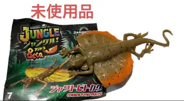 [ 미사용 ] 정글&co. 안도코 자바도마뱀