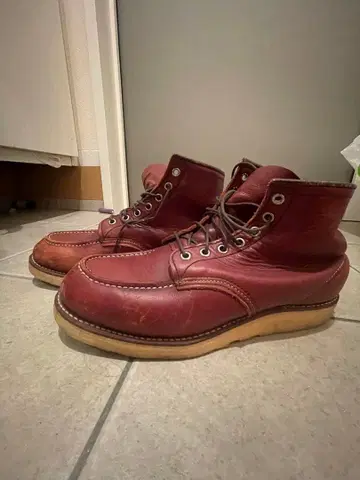 레드윙 신발