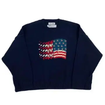 DAIRIKU x TTT MSW 성조기 니트