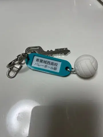 하이큐 트레이딩 고교명 부착 열쇠고리 아오바죠사이