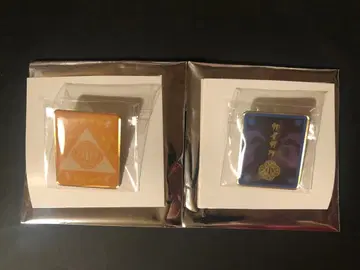 귀멸의 칼날 키메츠 식당 랜덤 핀즈 아가츠마 젠이츠, 카이가쿠