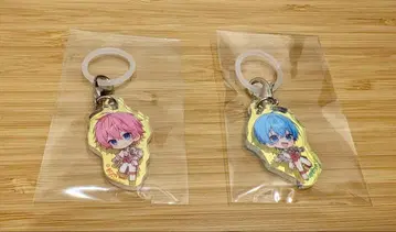 STPR Family 랜덤 오로라 참 사토미 코론