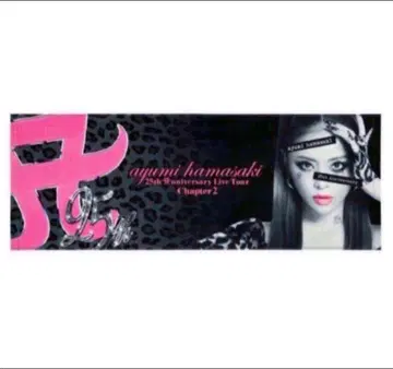 하마사키 아유미 25th 스포츠 타월 카운트다운 콘서트