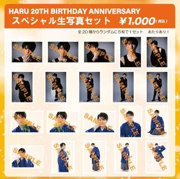 HARU 20TH BIRTHDAY ANNIVERSARY 브로마이드 세트