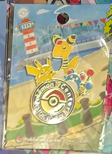 포켓몬 센터 도쿄 베이 핀즈 미개봉 새상품
