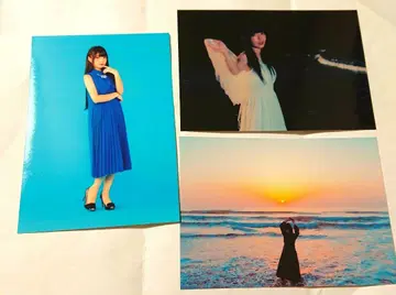 후지시로 리에 브로마이드