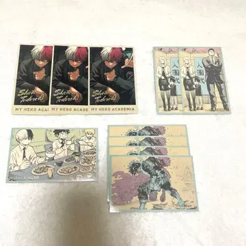 히로아카 토도로키 쇼토 메모리얼 컬렉션 금박