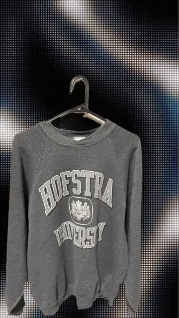 HOFSTRA UNIVERSITY 스웨트 셔츠 XL 그레이