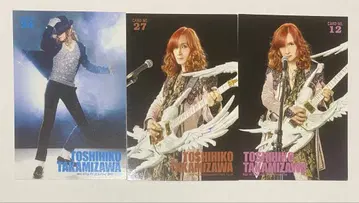 THE ALFEE 타카미자와 토시히코 트레이딩 카드 타카미