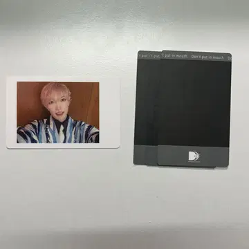 타이가 팬더드래곤 파라곤 폴라로이드 하피카