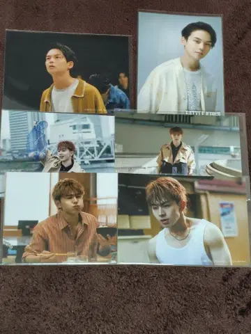 배틀 킹 브로마이드 모음 (20점)