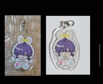 플러스메이트 PLUSMATE 참 쿠레히 씨