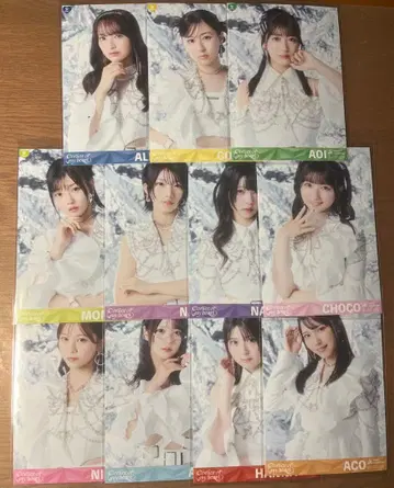 WHITESCORPION 호아스피 앨범 봉입 브로마이드 컴프