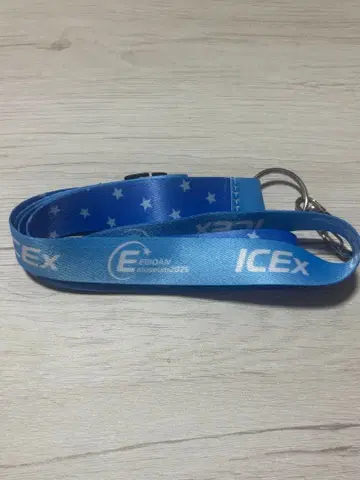 EBiDANMUSEUM ICEx 넥스트랩