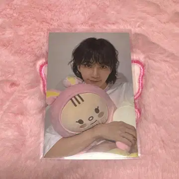 SEVENTEEN 정한 트레이딩 카드