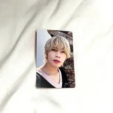 스에자와 세이야 트레이딩 카드