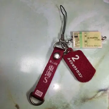 경마 스트랩 메이쇼 토콘 [ 도카이 스테이크스 G2 ]