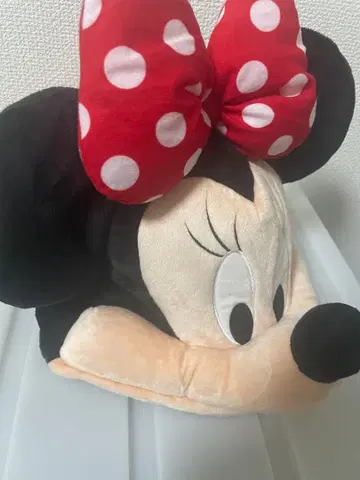 미니 마우스 팬 캡 디즈니