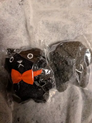 CACAOCAT 복슬복슬 봉제 인형 마스터 죠세마루 블랙