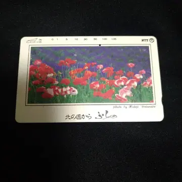 NTT 북쪽 나라로부터 후라노