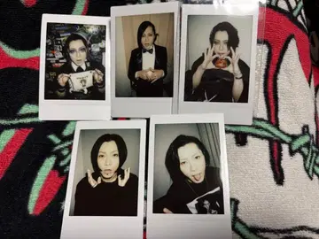 코도모 드래곤 meN-meN 과거 폴라로이드