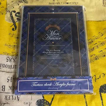 타탄 체크 아크릴 프레임 블루