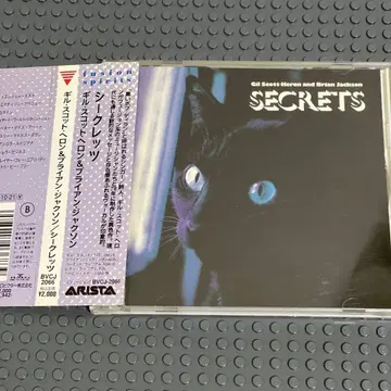 [일본 국내반 CD] 길 스캇 헤론 & 브라이언 라이언 / 시크릿