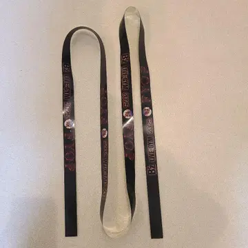 B'z FYOP 2025 반테린 돔 나고야 16일 은색 테이프