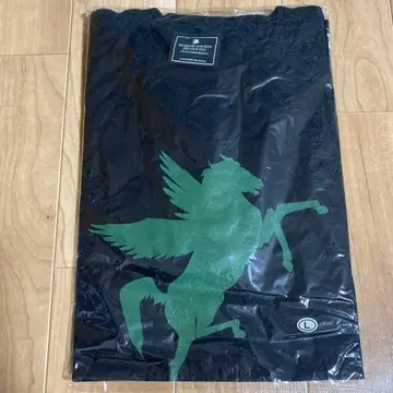 BUMP OF CHICKEN 티셔츠 L 사이즈