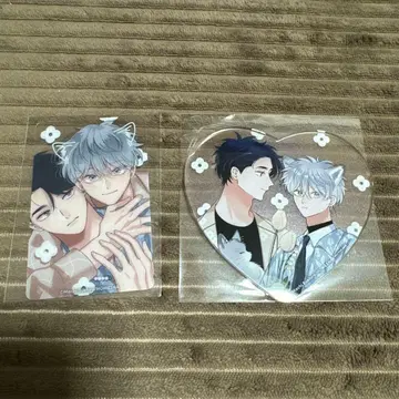 말단 마 콜라보 카페 애매한 울프