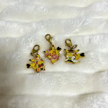 포켓몬 센터 옷 갈아입히기 피카츄 메탈 참